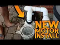 How to Replace a Pool Pump Motor - The Ultimate Guide Ep 31
