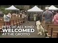 The Grotto hosts 41st annual Blessing of the Animals