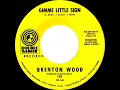 1967 HITS ARCHIVE: Gimme Little Sign - Brenton Wood (mono 45)