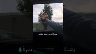 وتشاء انت من البشائر قطرة اشتراك لايك احبكم العراق مطر  وتشاء انت من البشائر قطرة اشتراك لايك احبكم العراق مطر