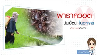 พาราควอตคืออะไร และมันทำให้เกิดอันตรายอย่างไรต่อร่างกาย