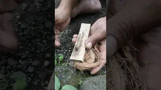 Starting A Fire With Short Fire Plow Fireplough Firemaking 