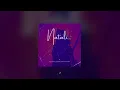 Nico Parga, @yilberking, Sebastian Roldan - N2 (Radio Edit) | PVRGVS