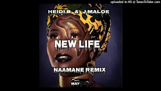 heidi b j maloe new life naamane remix 