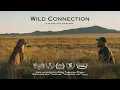 WILD CONNECTION - Award Winning Short Documentary