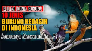 10 JENIS BURUNG KEDASIH DI INDONESIA - SEMUANYA PENUH MITOS MISTIS - GAK SEMUA KICAUMANIA PAHAM..!!