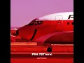 PSA 737 lore
