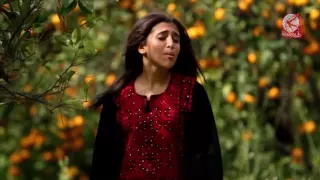 بنت صغيرة امينة كرم طيور الجنة للأطفال تابعونا 