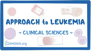 Approach to Leukemia: Clinical Sciences