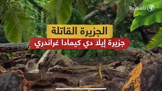 الداخل إليها مفقود والخارج منها مولود هل تجرؤ على زيارة هذه الجزيرة  الداخل إليها مفقود والخارج منها مولود هل تجرؤ على زيارة هذه الجزيرة