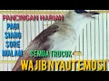 Lagu TRUCUKAN GACOR Buat pancingan pagi siang sore malam 99,9% WAJIB NYAUT GACOR NGALAS NGROPEL