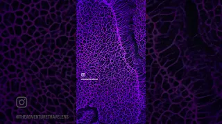 Adventure #42 of 57 – WNDR is San Diego’s premier immersive art experience where inspiration alive