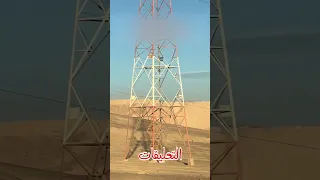 التنين المكشكش استعراض الدفاع 