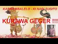 Download Lagu KURAWA GEGER !!! KI HADI SUGITO -  KARNA MBALELO