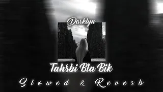 Cheb Momo Tahsbi Bla Bik Slowed Reverb 