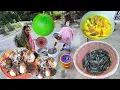 Cover lagu বাগান থেকে ঘট কচু তুলে মাঠের ল্যাঠা কৈ দিয়ে দারুন স্বাদে রান্না | Taro root with fish recipe