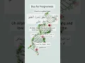 Dua for Forgiveness | استغفار کی دعا | Allahumma innaka afuwwun tuhibbul afwa fa’fu anni