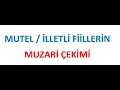 Download Lagu Mutel / illetli fiillerin muzari cekimi