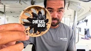 SAILOR’S WORST NIGHTMARE – we have to CUT OPEN OUR TANK 🤬 – (Episode 341)