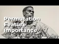 Permutation Feature Importance Sing to Remember STEM Skills