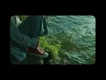 Dexter And The Moonrocks - It's A Lot [TRADUÇÃO/LEGENDADO]