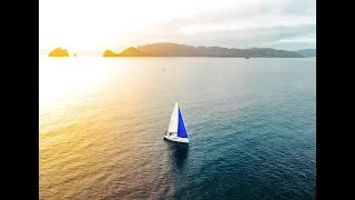 We’re SELLING La Vagabonde! (sold)