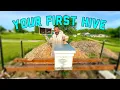 How to set up your first beehive