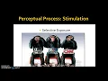 Perceptual Process