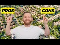 Pros and Cons of Living in Beaumont California Beaumont California Real Estate
