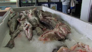 Down East Circle Part 3 – Chapter 7 Grande Riviere