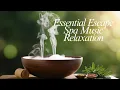 Essential Escape - Spa Music Relaxation 1 Hour of Calm Spa Massage