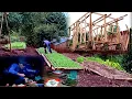 Download Lagu Masak tumis kangkung, bermalam di kebun ep 238