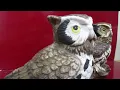 Vintage Homco Set of Home Interior Woodsie Owl Figurines Ceramic Painted