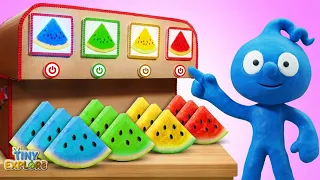 Tiny DISCOVERED Colorful Watermelon | Itz Tiny Explore
