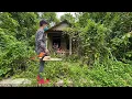 Lagu under jungle we cut many big trees found secre thouse inside | clearing the overgrown satisfying