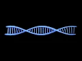 DNA Strands with Trapcode Tao