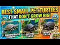 The Best Small Pet Turtles That Can Live in a 40 Gallon Tank