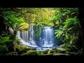 Introduction to Ecology