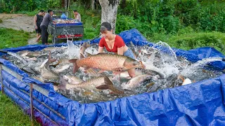 Use 3-Wheeled To Harvesting 1000+ Big Fish Go To Countryside Market Sell For Villager
