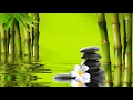 Download Lagu Nhạc Thư Giãn   Giảm căng thẳng mệt mỏi stress   Tập trung học tập Làm việc