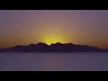 Buscando Una Señal (REIMAGINED) | Damaris Guerra - Official Lyric Video