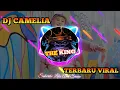 Download Lagu DJ CAMELIA TERBARU FULL BASS VIRAL