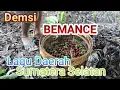 Lagu Daerah Sumatera Selatan '' BEMANCE '' oleh DEMSI. (Pagar Alam)