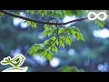 Download Lagu Relaksējoša mūzika un maigas lietus skaņas - skaista klavieru mūzika relaksācijai un miegam