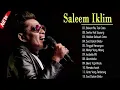 Download Lagu Saleem Iklim: Koleksi Lagu Nostalgia Terbaik Sepanjang Masa