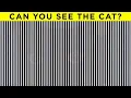 How Good Are Your Eyes