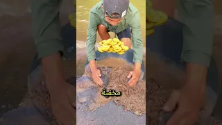 الرجل المجنون الذي اكتشف كنز ا من الذهب في النهر اكسبلور Shorts 