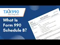 What is Form 990 Schedule B