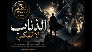 الذئاب لا تبكي  دندنها
