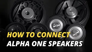 How Various Alpha One Speakers Get Connected